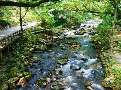 Guangzhou Dim Sum Walking Tour: The Best Time for an Authentic Experience - Travel guide