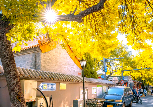 Beijing Beyond the Brochure: The Best Time of Year for a Private Tour | sundatravel
