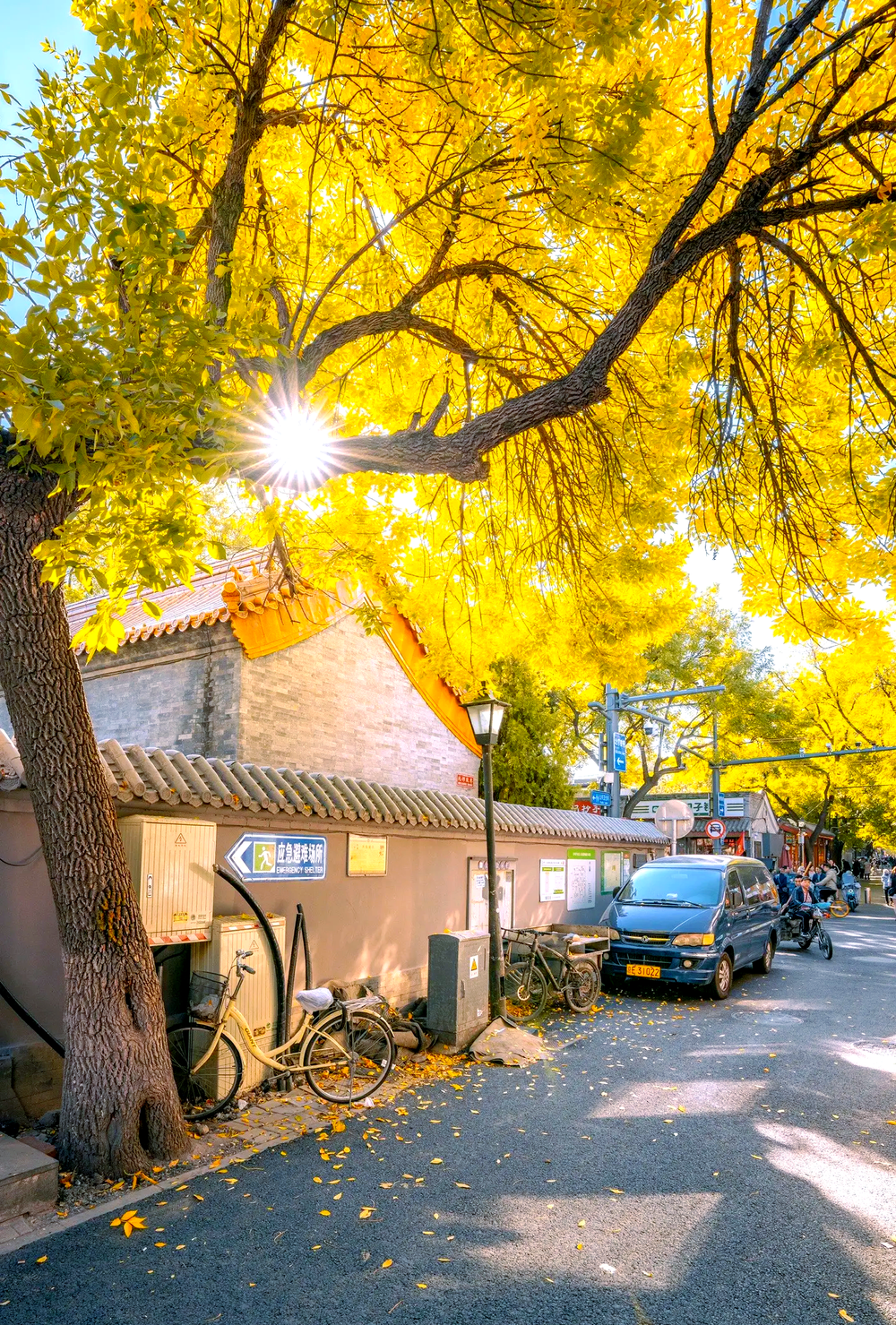 Best time to visit Beijing, seasonal Beijing travel scenery for international tourists