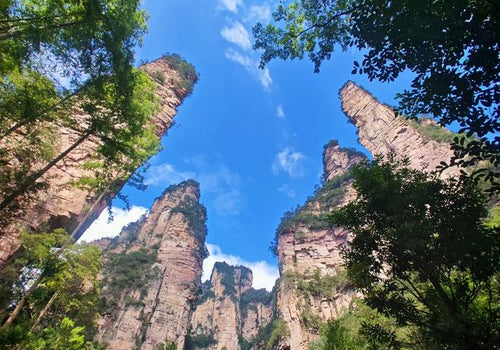 Zhangjiajie In-Depth Nature & Culture Experience: Avatar Peaks & Tujia Heritage | Sunda Travel