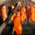 Beijing Roast Duck Dinner Experience Authentic Food Guide for Overseas Visitors | Sunda Travel