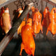 Beijing Roast Duck Dinner Experience Authentic Food Guide for Overseas Visitors | Sunda Travel