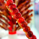 Beijing Hutong Walking Tour with Rickshaw | Sunda Travel