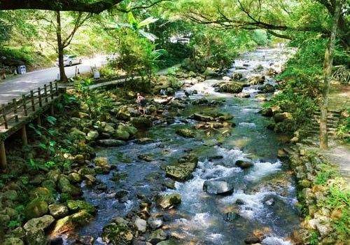 Guangzhou Dim Sum Walking Tour: The Best Time for an Authentic Experience