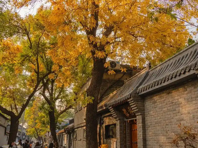 Beijing Hutong rickshaw tour best weather months