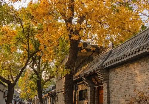 Beijing Hutong rickshaw tour best weather months