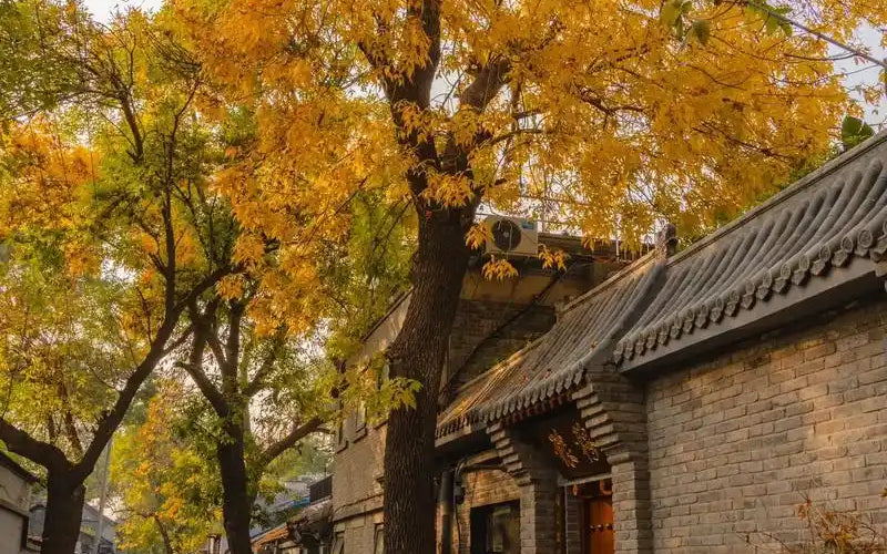 Beijing Hutong rickshaw tour best weather months - 旅行故事