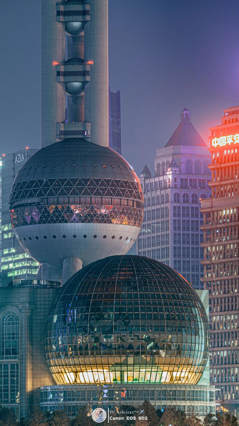 Shanghai Night Tour: Best Weather & Best Time to Book | ST — China Travel Guide | Sunda Travel