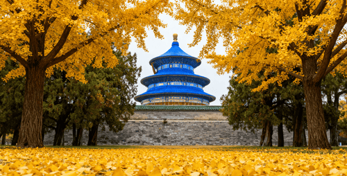 China travel experience