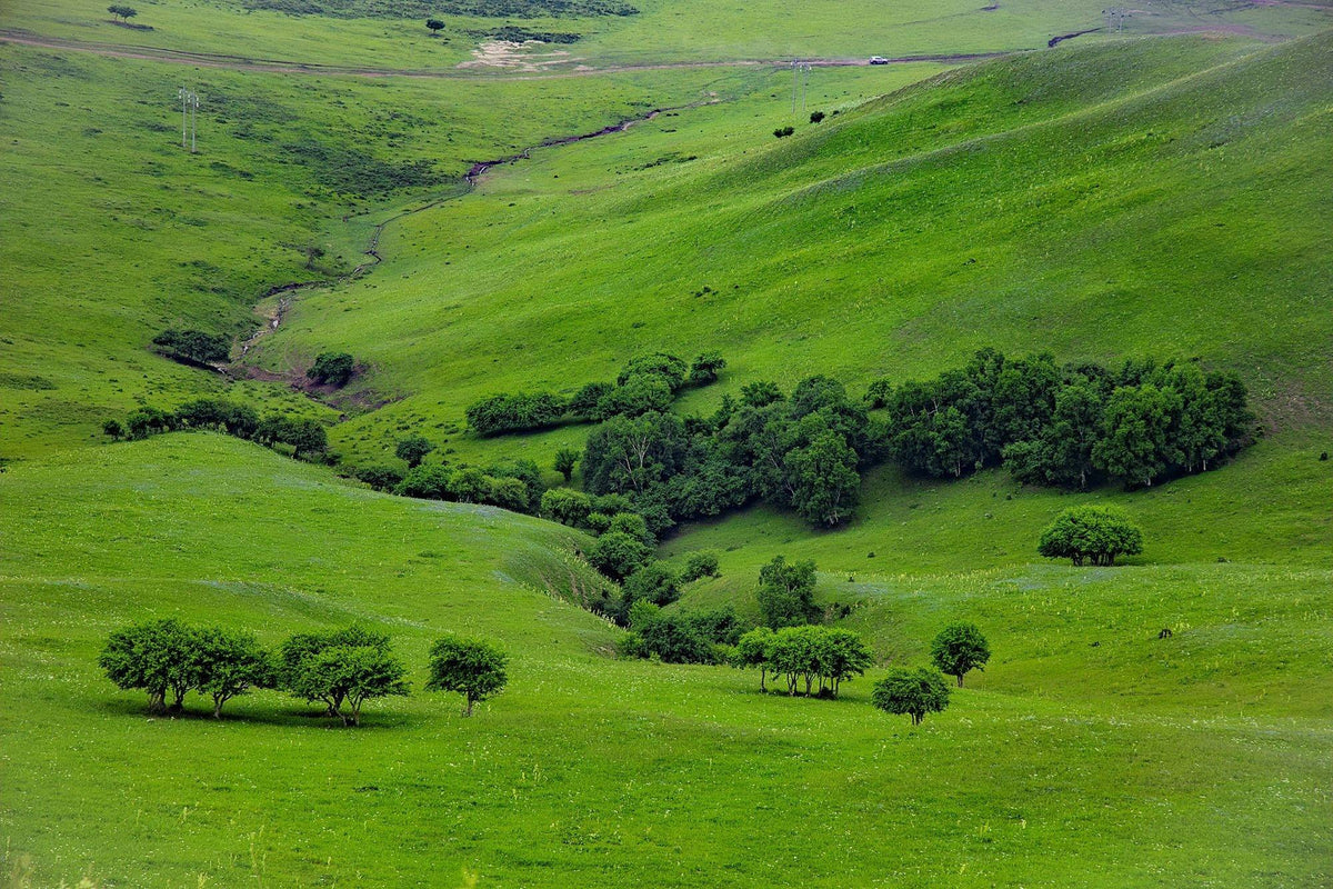 Horse Riding & Hundred-Mile Sky Road — Fengning → Beijing