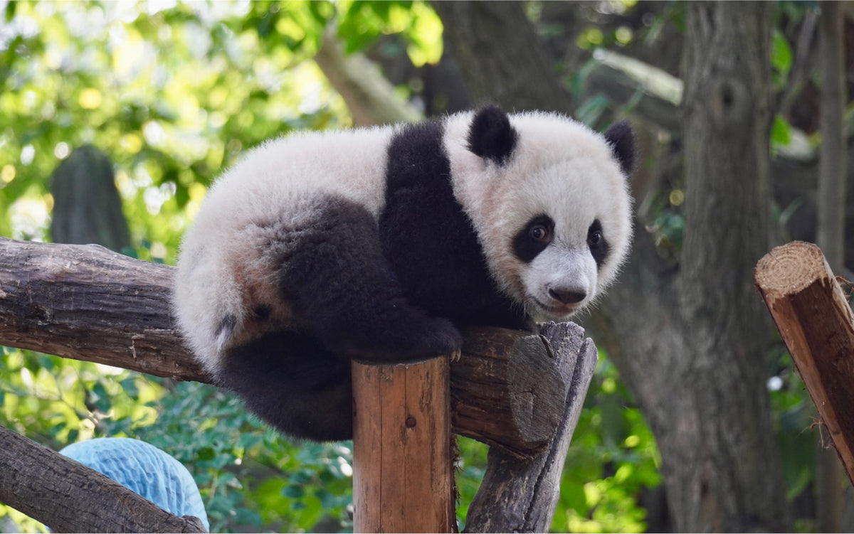 China travel experience