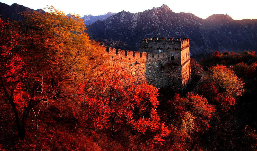 1 Day Mutianyu Great Wall Layover Tour from Airport (8 Hours)