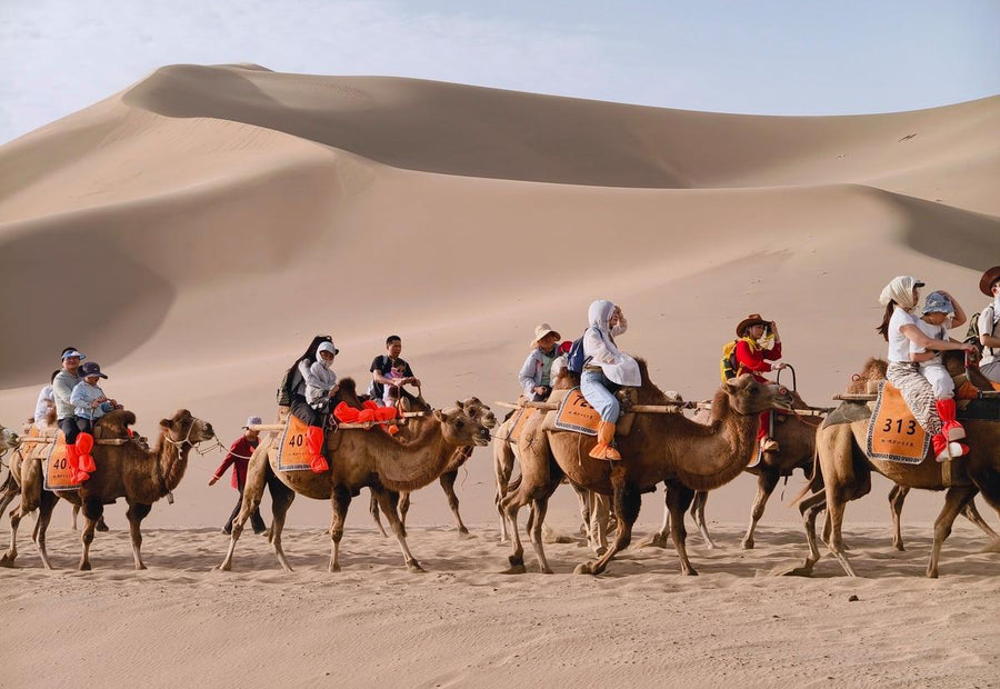 12-Day China Silk Road Tour from Xi'an to Kashgar