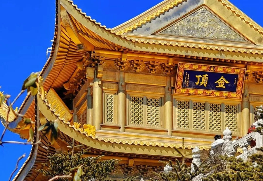2-Day Leshan & Emei Tour: No Shopping, World Heritage