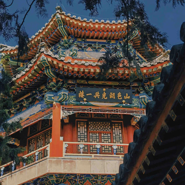 A Multifaceted China Journey:History, Nature & Modernity