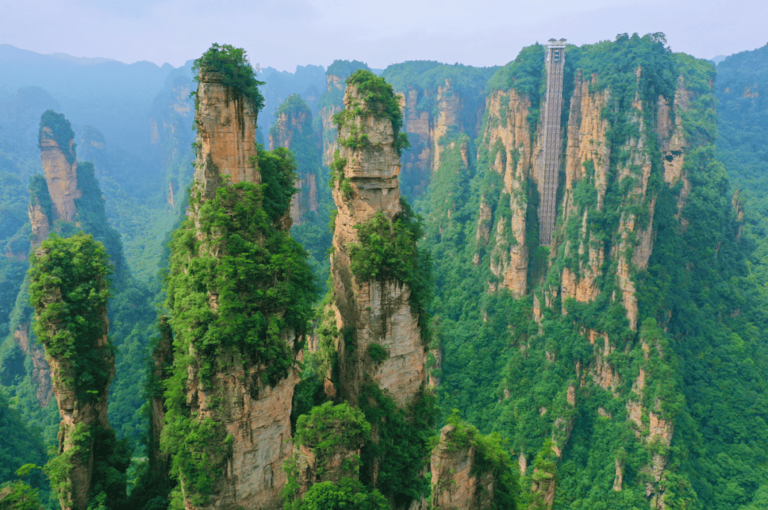 Zhangjiajie National Forest Park & Tianzi Mountain — Bailong Elevator, Yuanjiajie & Avatar-Inspired Peaks — Zhangjiajie