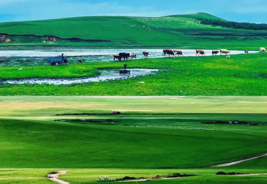 2 Days Fengning Bashang Grassland Tour: Horse Ride, Party Rave & Grassland Roam