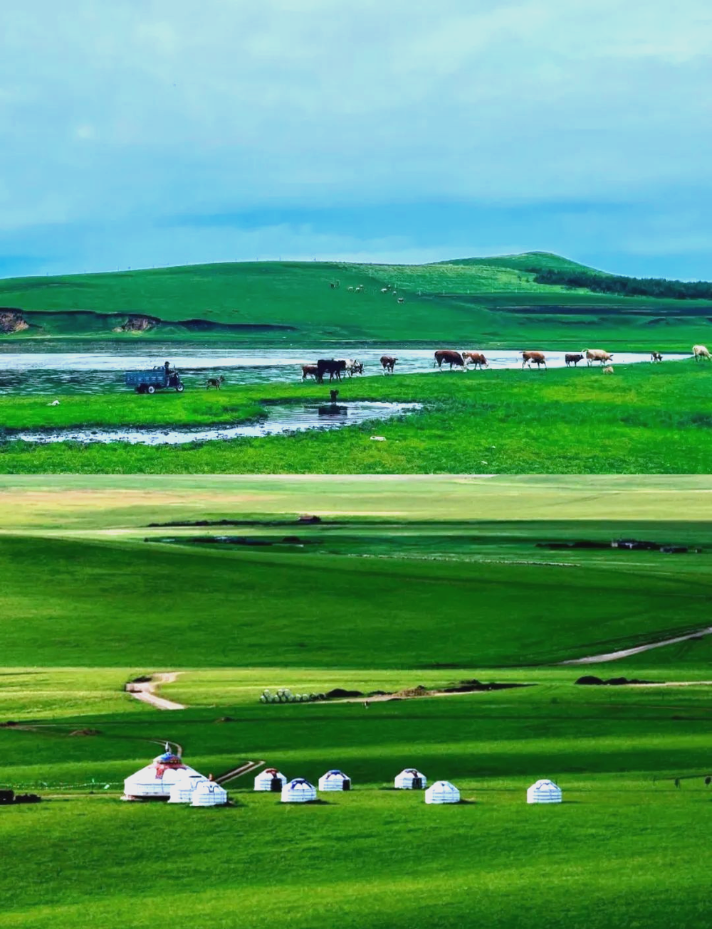 2 Days Fengning Bashang Grassland Tour: Horse Ride, Party Rave & Grassland Roam