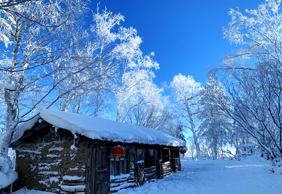 5 Days Harbin & China Snow Town Tour: From Ice Kingdom to Snowy Fairy Tales