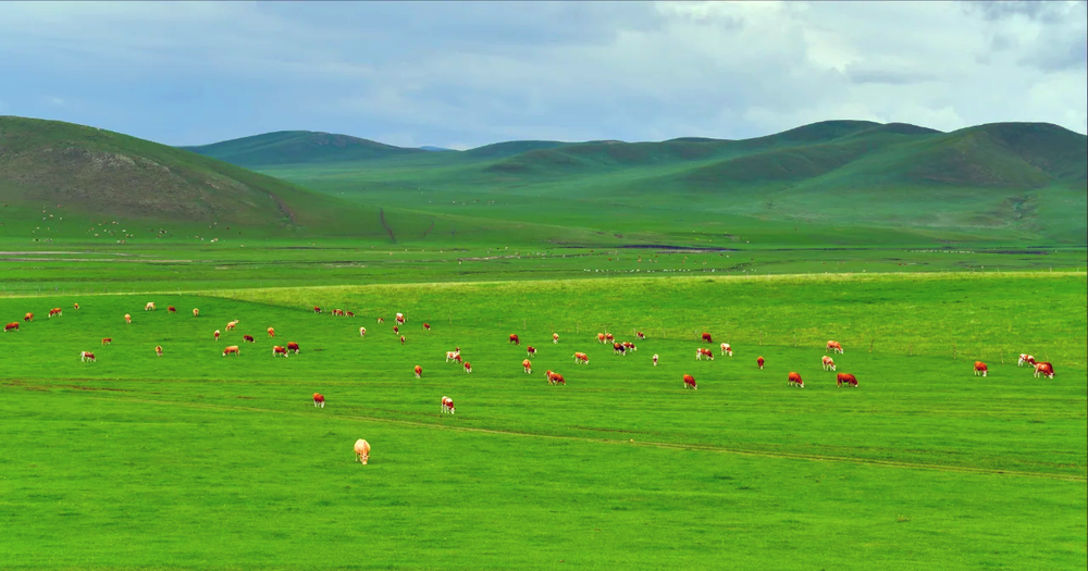 4 Days Bashang Grassland Tour: Ulan Butong Grassland Wild Driving & Chengde UNESCO Sites