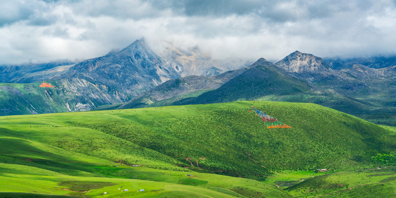 Day 2: Danba/Jiagu Tibetan Village - Moxi Park - Tagong Grassland - Yuzixi - Xinduqiao