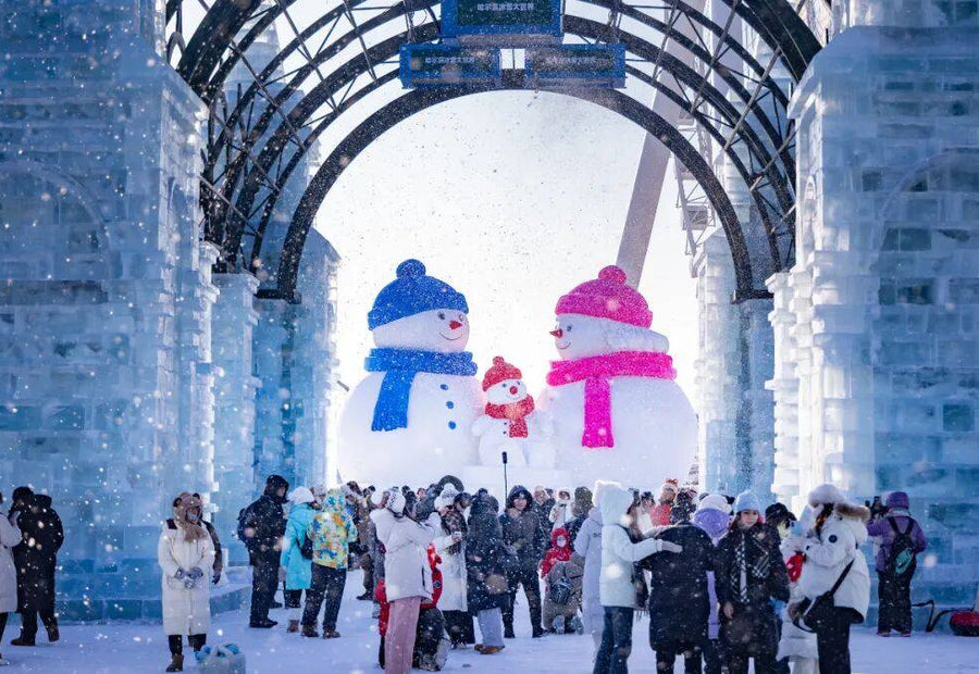 3 Days Harbin Ice Festival 2026 Tour & Schedule