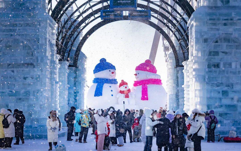 3 Days Harbin Ice Festival 2026 Tour & Schedule