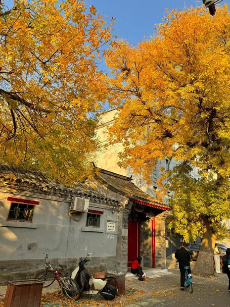 5 Days Beijing Tour from : Dynasties, Hutongs, CBD
