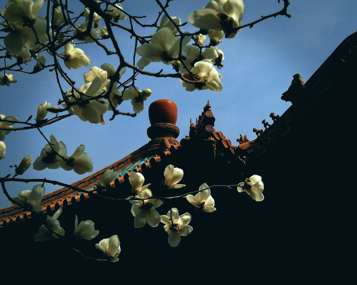 Tailor Made China Tour