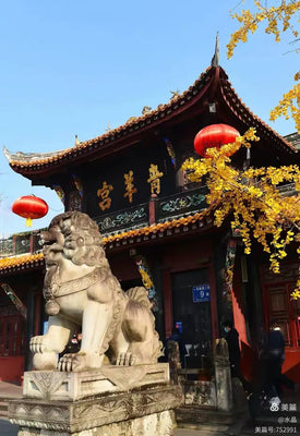 Day 2: Experiencing the Leisurely Style of Chengdu