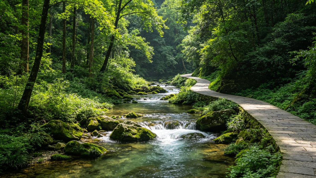 Huangshizhai Village & Jinbianxi Stream — Forest Viewpoints and Riverside Trails — Zhangjiajie