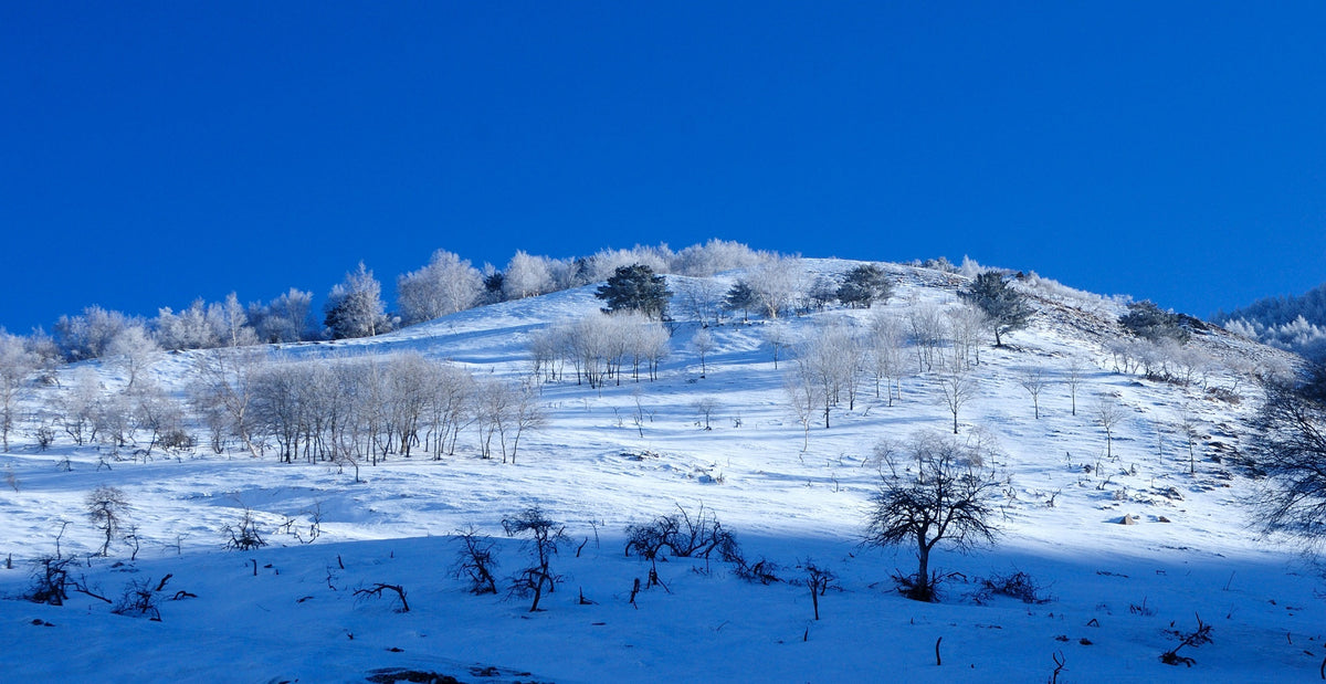 China Snow Town — Sunrise, Dream Home & Return to Harbin — China Snow Town / Harbin	