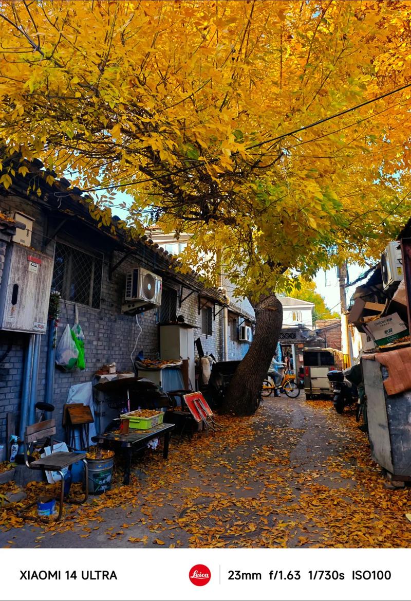 Imperial Beijing & Old Neighborhoods — Beijing