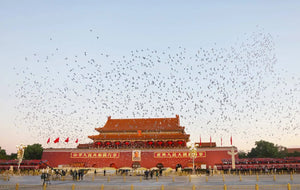 Beijing Travel