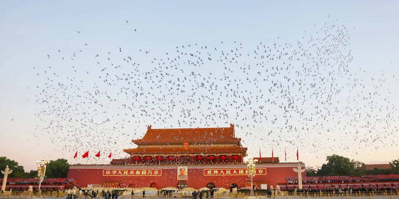 Day 2 - From Tian'anmen to Hutongs: Exploring Beijing's Imperial and Local Heritage