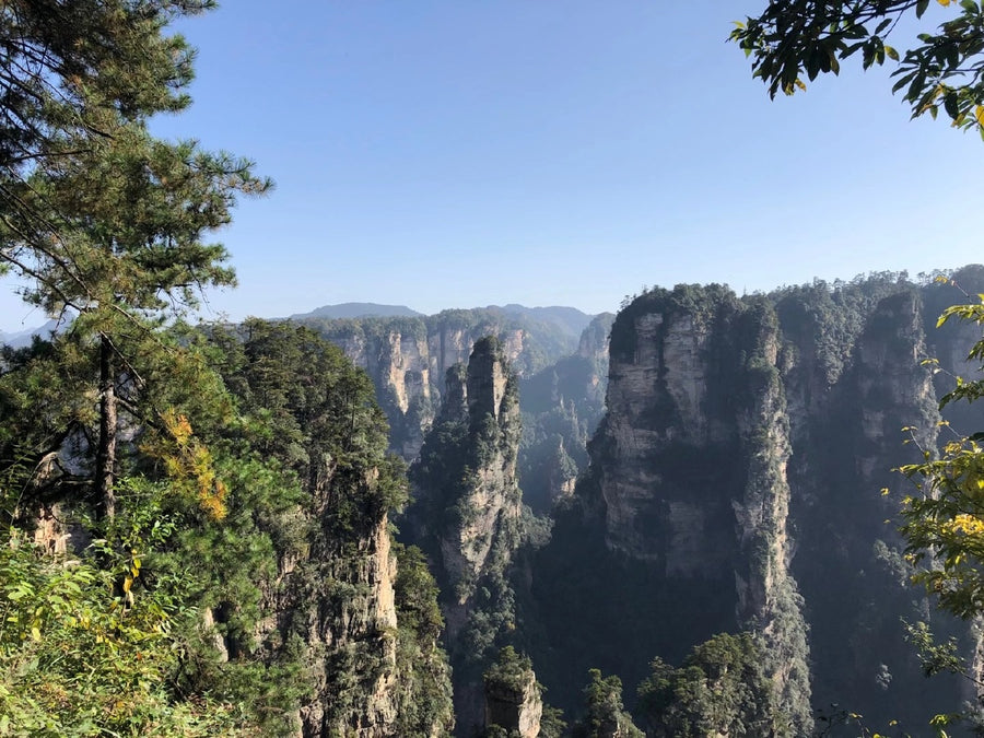 Zhangjiajie sandstone pillars rising through mist