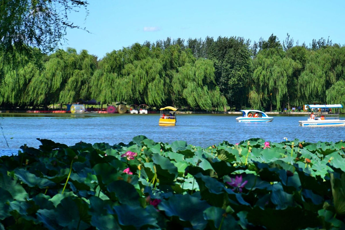 Summer Palace & Prince Gong’s Mansion — Beijing