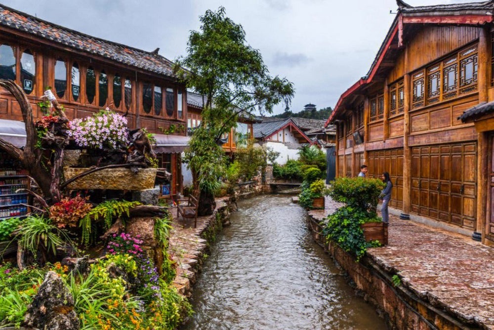 Lijiang ancient town and Jade Dragon Snow Mountain