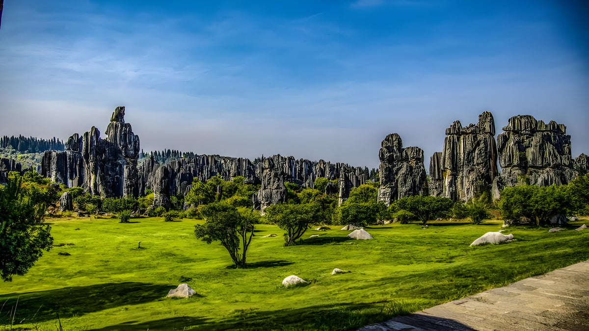 Stone Forest & Kunming Cultural Highlights — Kunming