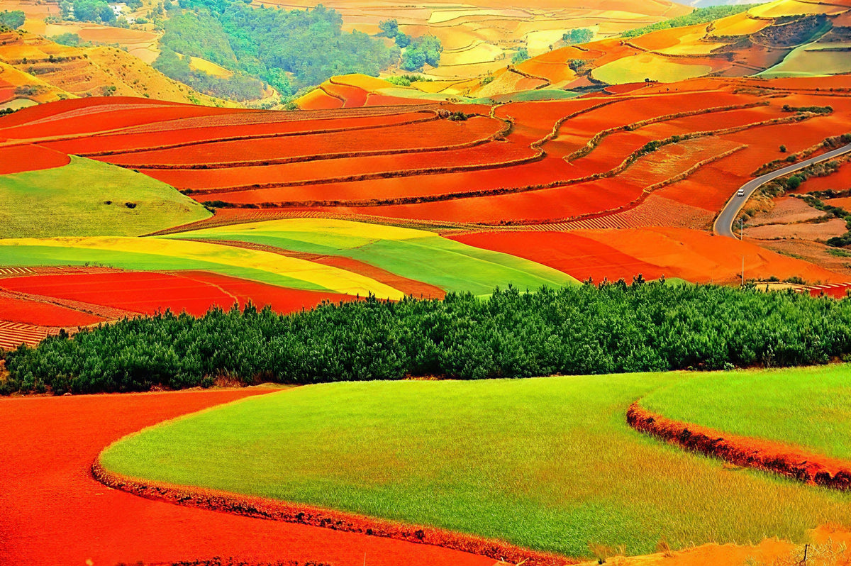 Special interest travel in China