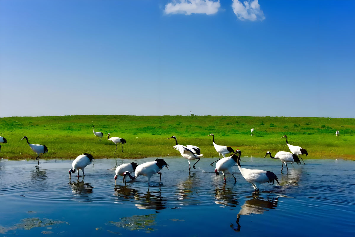 Social group travel in China