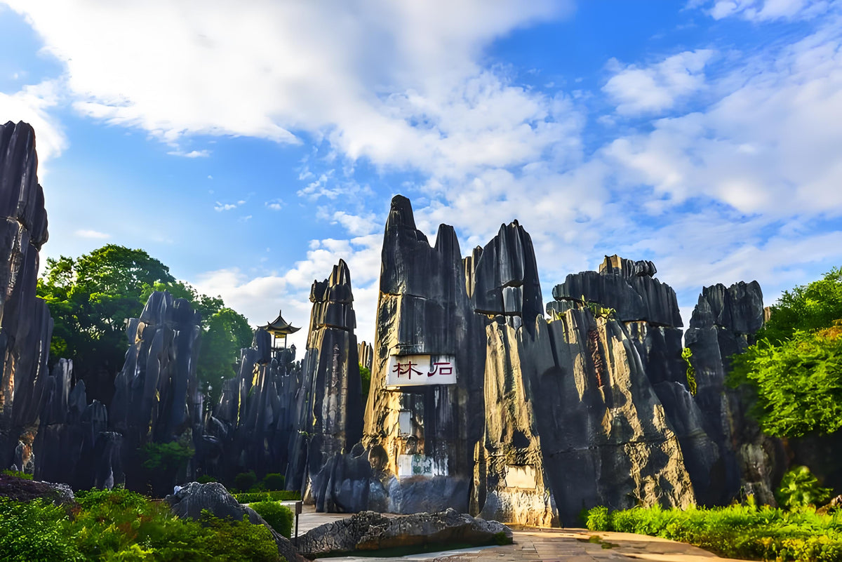 Kunming | Stone Forest Discovery — Kunming