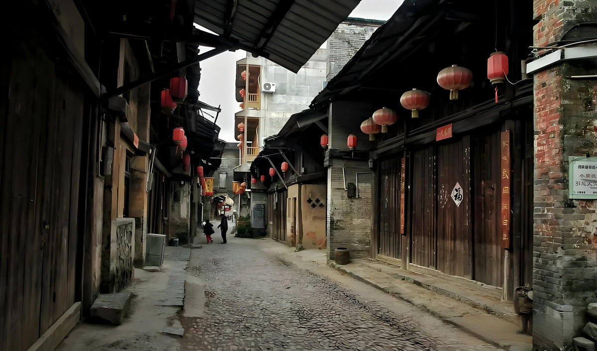 Shanghai to Guilin | Daxu Ancient Town & Elephant Trunk Hill — Guilin