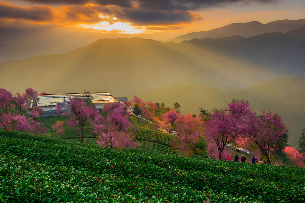 Yunnan at Your Pace