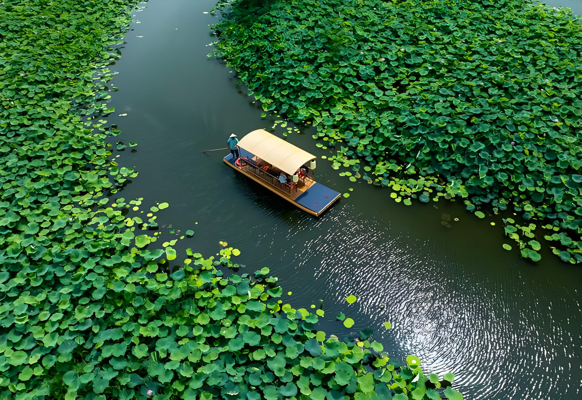 Summer in China