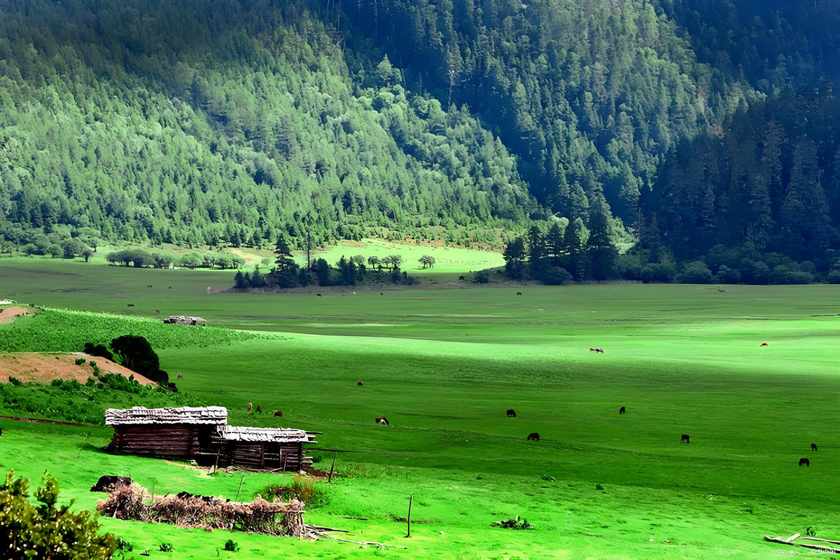 Shangri-La | Tibetan Culture & Nature — Shangri-La