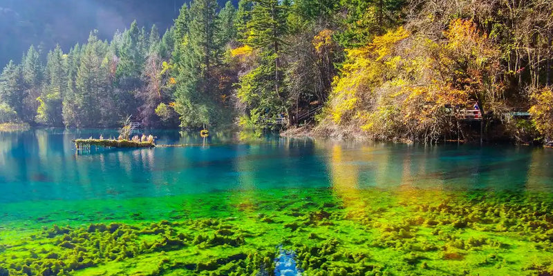 Day 2: Immersed in the Splendor of Jiuzhaigou