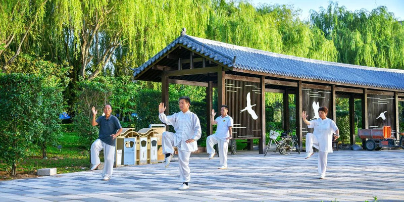 Day 3 - Beijing Adventure | Mutianyu Great Wall, Temple of Heaven, and Tai Chi Experience