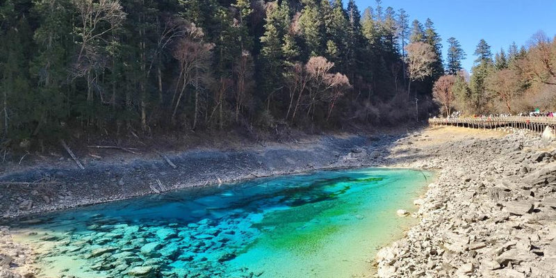 Day 5: The Panda Paradise and the Appointment with Jiuzhaigou